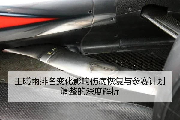 王曦雨排名变化影响伤病恢复与参赛计划调整的深度解析